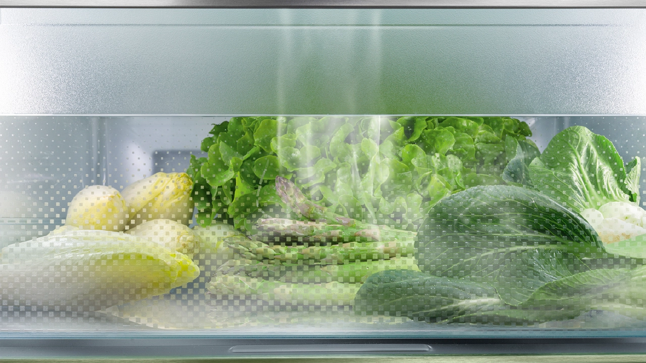 ICBNh 5173 Peak BioFresh NoFrost Integrated fridge-freezer